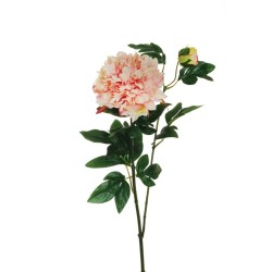 Lot de 12 - Tige artificielle de pivoine X2, 69 cm - fuchsia saumon crème 