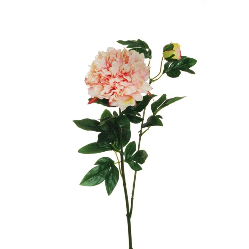 Lot de 12 - Tige artificielle de pivoine X2, 69 cm - fuchsia saumon crème 