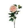 Lot de 12 - Tige artificielle de pivoine X2, 69 cm - fuchsia saumon crème 