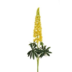 Lot de 6 - Lupin artificiel, 108,5 cm - jaune 