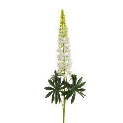 Lot de 6 - Lupin artificiel, 108,5 cm - blanc 