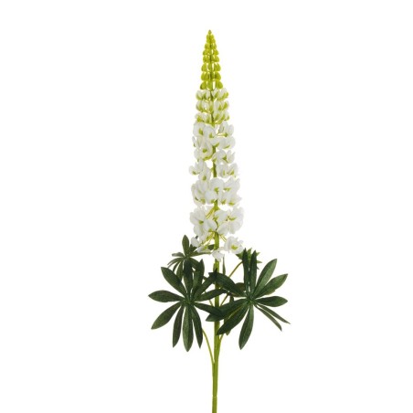 Lot de 6 - Lupin artificiel, 108,5 cm - blanc 