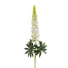 Lot de 6 - Lupin artificiel, 108,5 cm - blanc 