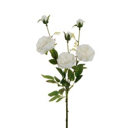 Lot de 24 - Tige artificielle de rose Austin X3, 67 cm - blanc 