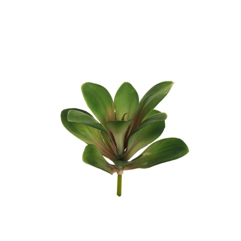 Lot de 12 - Plante artificielle de cotylédon, 26 cm - vert rose 