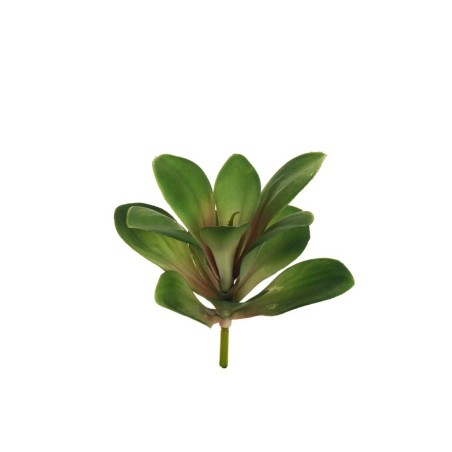 Lot de 12 - Plante artificielle de cotylédon, 26 cm - vert rose 
