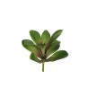 Lot de 12 - Plante artificielle de cotylédon, 26 cm - vert rose 