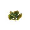 Lot de 12 - Crassula ovata artificiel, 16 cm - vert jaune marron 