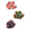 Lot de 12 - Crassula ovata artificiel, 16 cm - vert fuchsia rose violet 