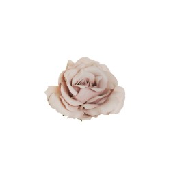 Lot de 48 - Tête artificielle de rose Queen, D. 12 cm - rose ancien 