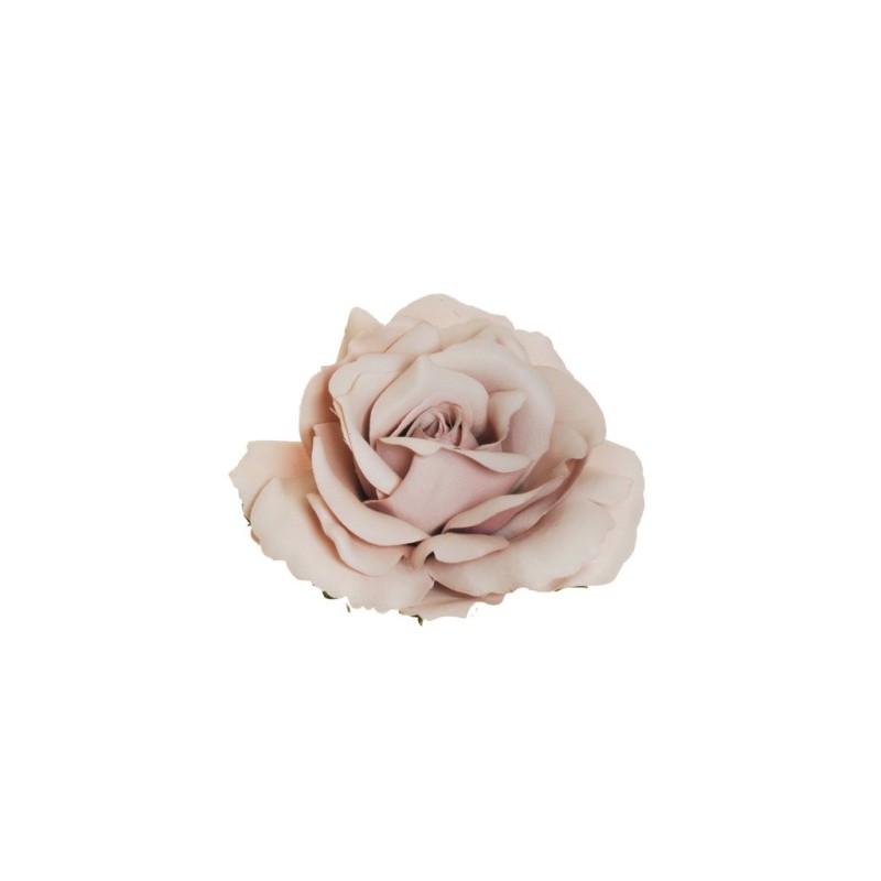Lot de 48 - Tête artificielle de rose Queen, D. 12 cm - rose ancien 