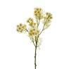 Lot de 12 - Tige artificielle de camomille X5, 63,5 cm - blanc 