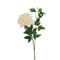 Lot de 12 - Tige artificielle de pivoine X2, 69 cm - crème 