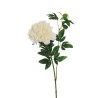 Lot de 12 - Tige artificielle de pivoine X2, 69 cm - crème 