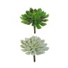Lot de 24 - Grande echeveria artificielle, 15 cm - gris vert 
