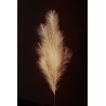 Lot de 12 - Branche artificielle de pampa, 113 cm - ivoire 
