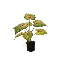 Lot de 4 - Plante artificielle de caladium impression 3D toucher réel en pot, 60 cm - vert rouge 