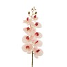 Lot de 12 - Tige artificielle de phalenopsis Aphrodite impression 3D toucher réel X9, 96 cm - crème rose clair 