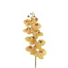 Lot de 12 - Tige artificielle de phalenopsis Aphrodite impression 3D toucher réel X9, 96 cm - marron clair 
