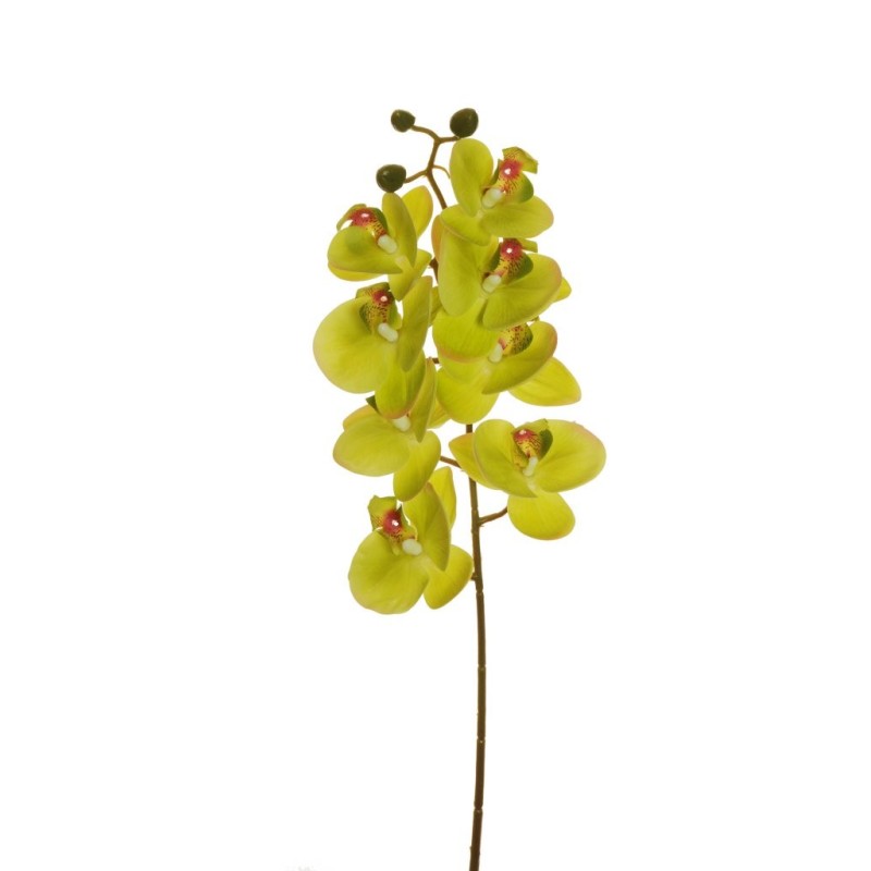 Lot de 24 - Tige artificielle de phalenopsis Aphrodite impression 3D toucher réel X8, 78 cm - vert clair 