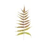 Lot de 36 - Feuille artificielle de fougère, 75 cm - marron vert 