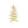 Lot de 36 - Feuille artificielle de fougère, 75 cm - orange vert clair 