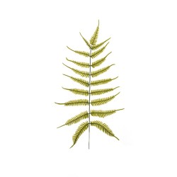 Lot de 36 - Feuille artificielle de fougère, 75 cm - vert 