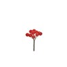 Lot de 72 - Bouquet pic artificiel de baies X10, 8 cm - rouge 