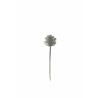 Lot de 144 - Pic artificiel de pomme de pin pailleteux, 13,5 cm - argent 
