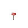 Lot de 144 - Bouquet pic artificiel de baies X10, 7 cm - rouge 