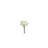 Lot de 144 - Bouquet pic artificiel de baies X10, 7 cm - blanc nacré 