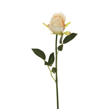 Lot de 24 - Bouton de rose chinensis artificiel, 62 cm - ivoire 