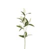 Lot de 36 - Tige artificielle de muguet X3, 56,5 cm - crème 