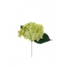 Lot de 36 - Pic artificiel d'hortensia pop corn, 26 cm - vert 