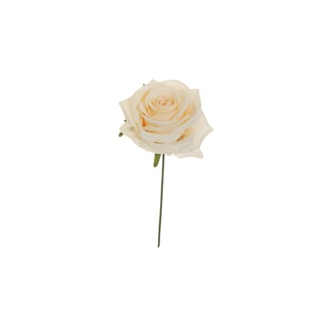 Lot de 80 - Tête artificielle de rose Equateur, 21 cm - crème 