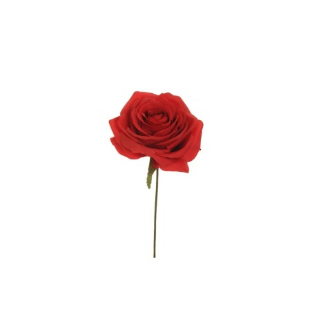 Lot de 80 - Tête artificielle de rose Equateur, 21 cm - rouge 
