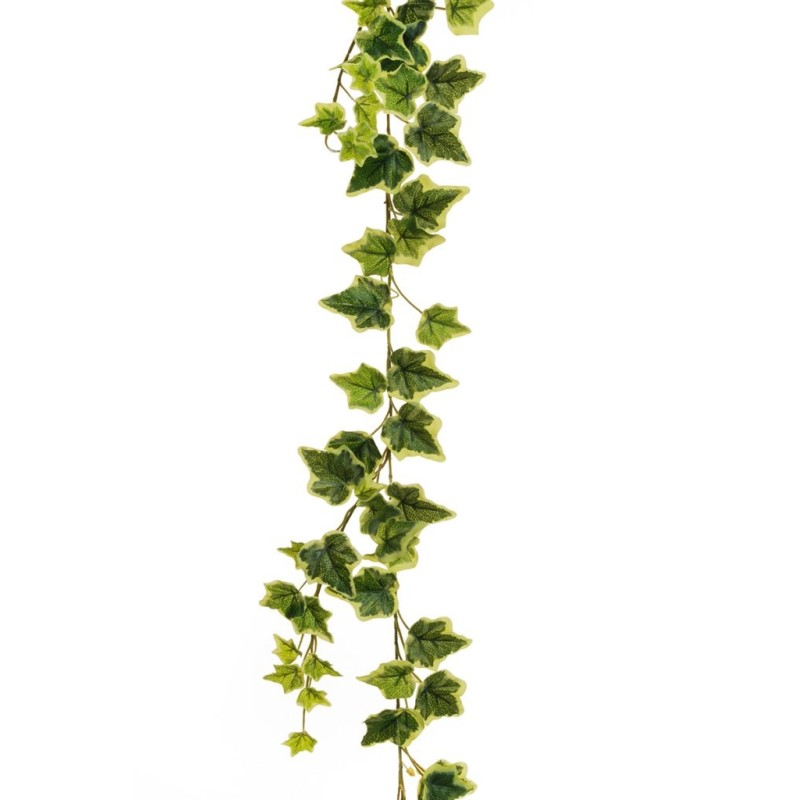 Lot de 12 - Guirlande artificielle de lierre toucher réel, 180 cm - panaché 