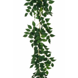 Lot de 12 - Guirlande artificielle de mahonia, 200 cm - vert 