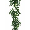 Lot de 12 - Guirlande artificielle de mahonia, 200 cm - vert 