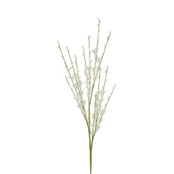 Lot de 24 - Tige artificielle de genêts X3, 74 cm - blanc 