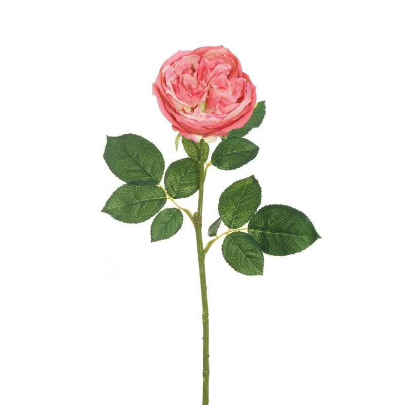 Lot de 24 - Rose chou artificielle, 64 cm - rose vif 