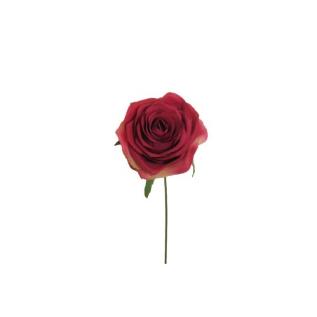 Lot de 80 - Tête artificielle de rose Equateur, 21 cm - fuchsia 