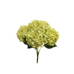Lot de 12 - Buisson artificiel d'hortensias Juliette X5, 50 cm - vert clair 