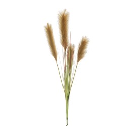 Lot de 24 Branches de pampas x4 avec herbe, 135 cm chaque pièce dans un sac en polyéthylène artificiel marron clair 