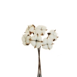 Lot de 24 - Bouquet artificiel de coton naturel X6, 31 cm - blanc 