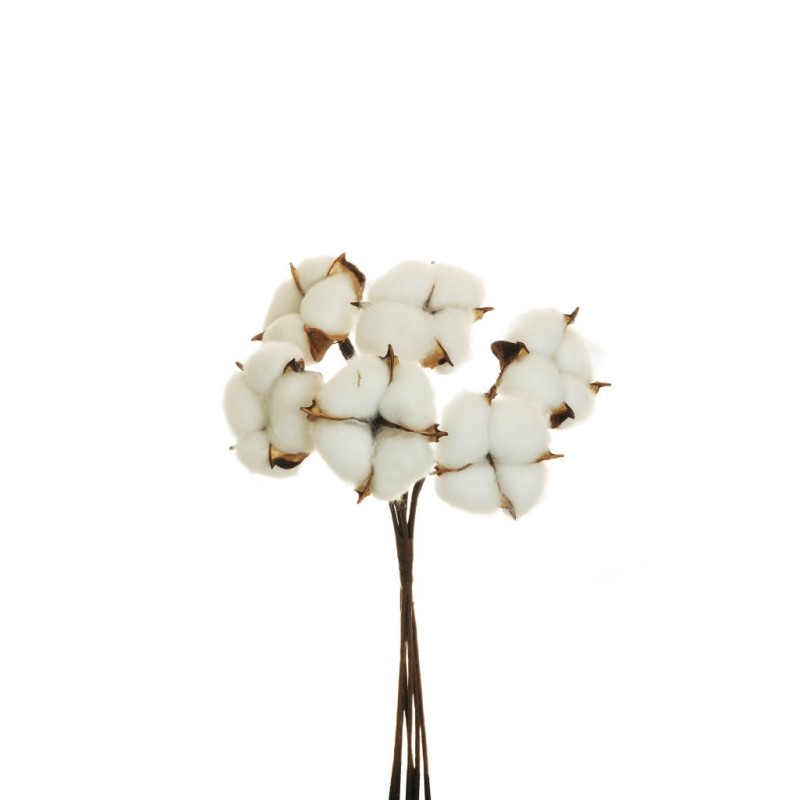 Lot de 24 - Bouquet artificiel de coton naturel X6, 31 cm - blanc 