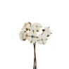 Lot de 24 - Bouquet artificiel de coton naturel X6, 31 cm - blanc 