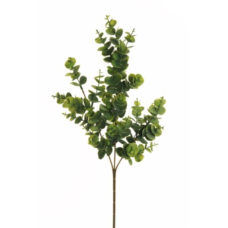 Lot de 36 - Tige artificielle d'eucalyptus cinerea X3, 66 cm - vert gris 