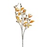 Lot de 12 - Branche artificielle d'automne avec baies, 81 cm - marron clair crème 