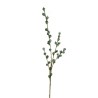 Lot de 24 - Tige artificielle de baies d'eucalyptus granito X4, 76 cm - vert 